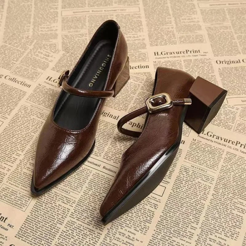 Vintage Pointed Toe Mary Jane Pumps