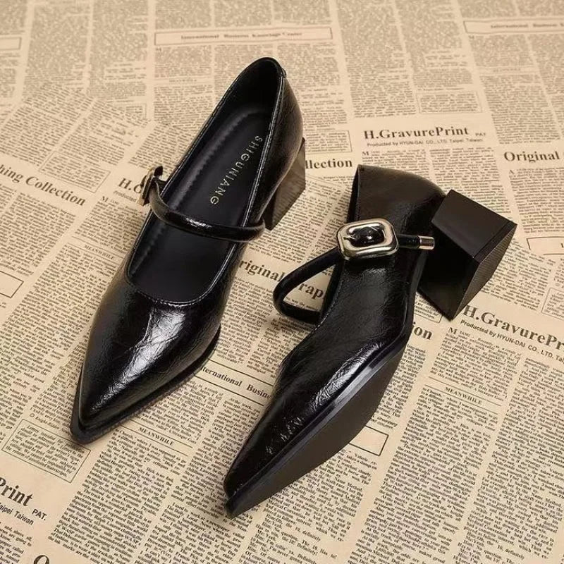 Vintage Pointed Toe Mary Jane Pumps