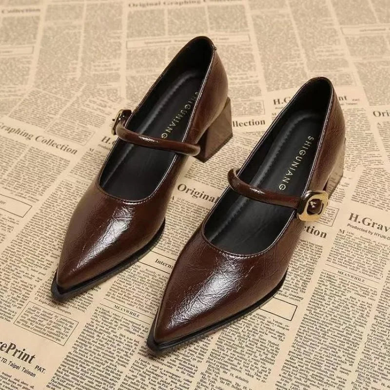 Vintage Pointed Toe Mary Jane Pumps