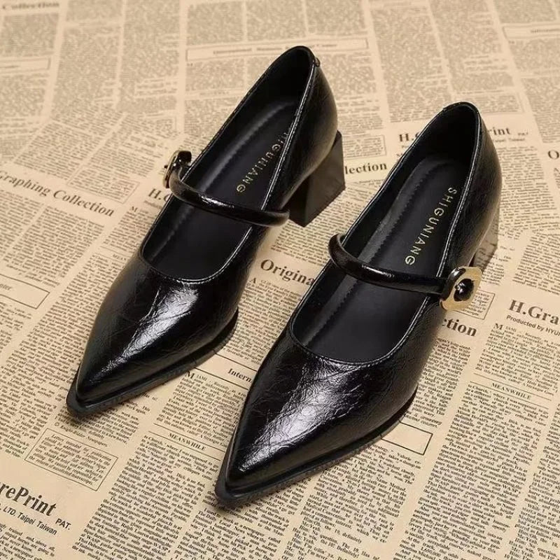 Vintage Pointed Toe Mary Jane Pumps